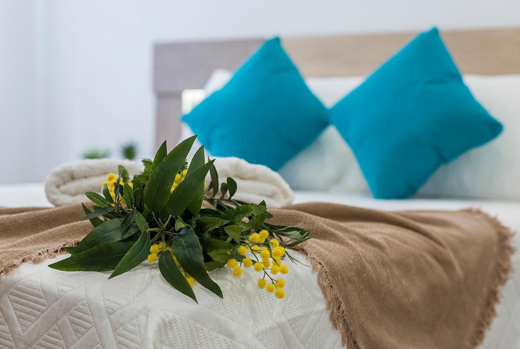 Playa Santa Maria Moderno 3 Rooms กาดิซ ภายนอก รูปภาพ